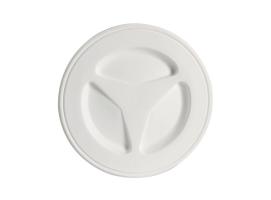 Inspection Hatch White Polypropylene