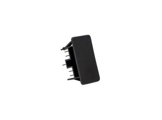 Frame Closing Plug