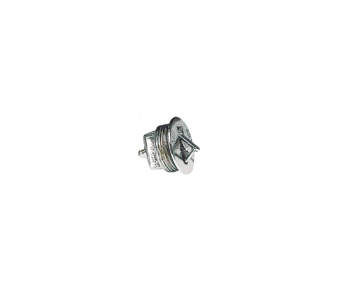 PLUG BRASS CHROME FILLING PORT (VARIOUS)