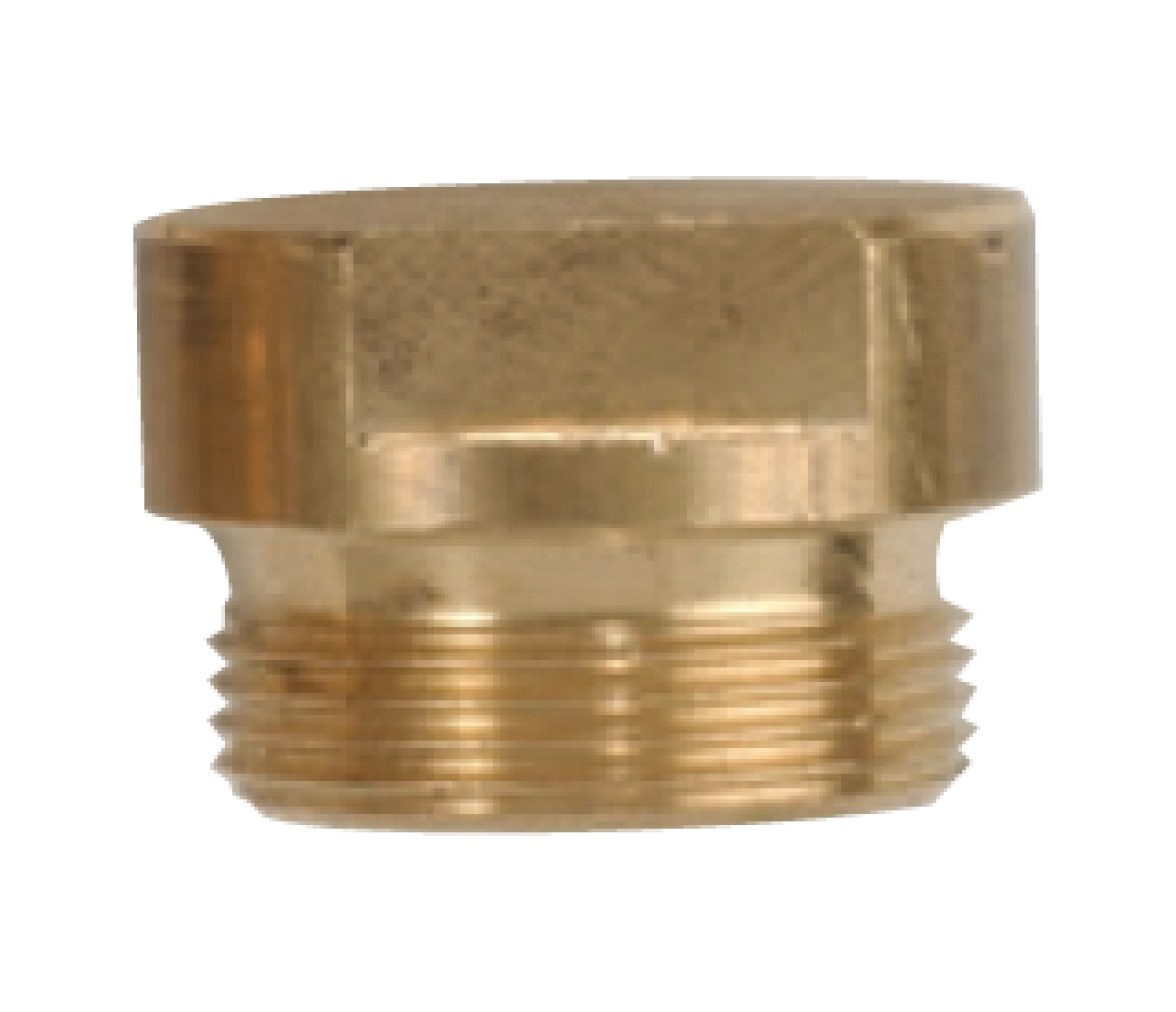 Tecnoseal Tapón Latón Ánodo Aifo D.20 1998
