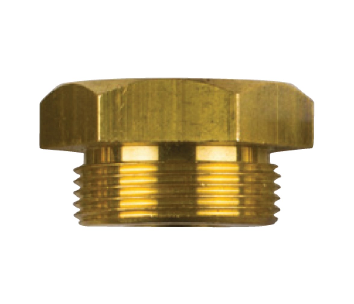 Tecnoseal Tapón Latón Ánodo Aifo Dia 20