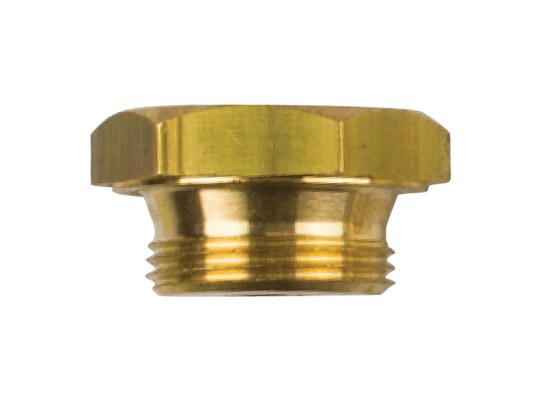 Tecnoseal Tapón Latón Ánodo Boudouin Ø20 Tecnoseal Tapón Latón Ánodo Boudouin Ø20