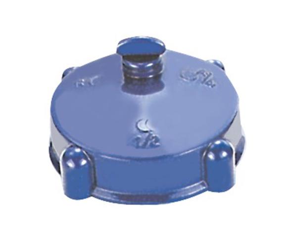 Tapon repuesto sin indicador nivel azul