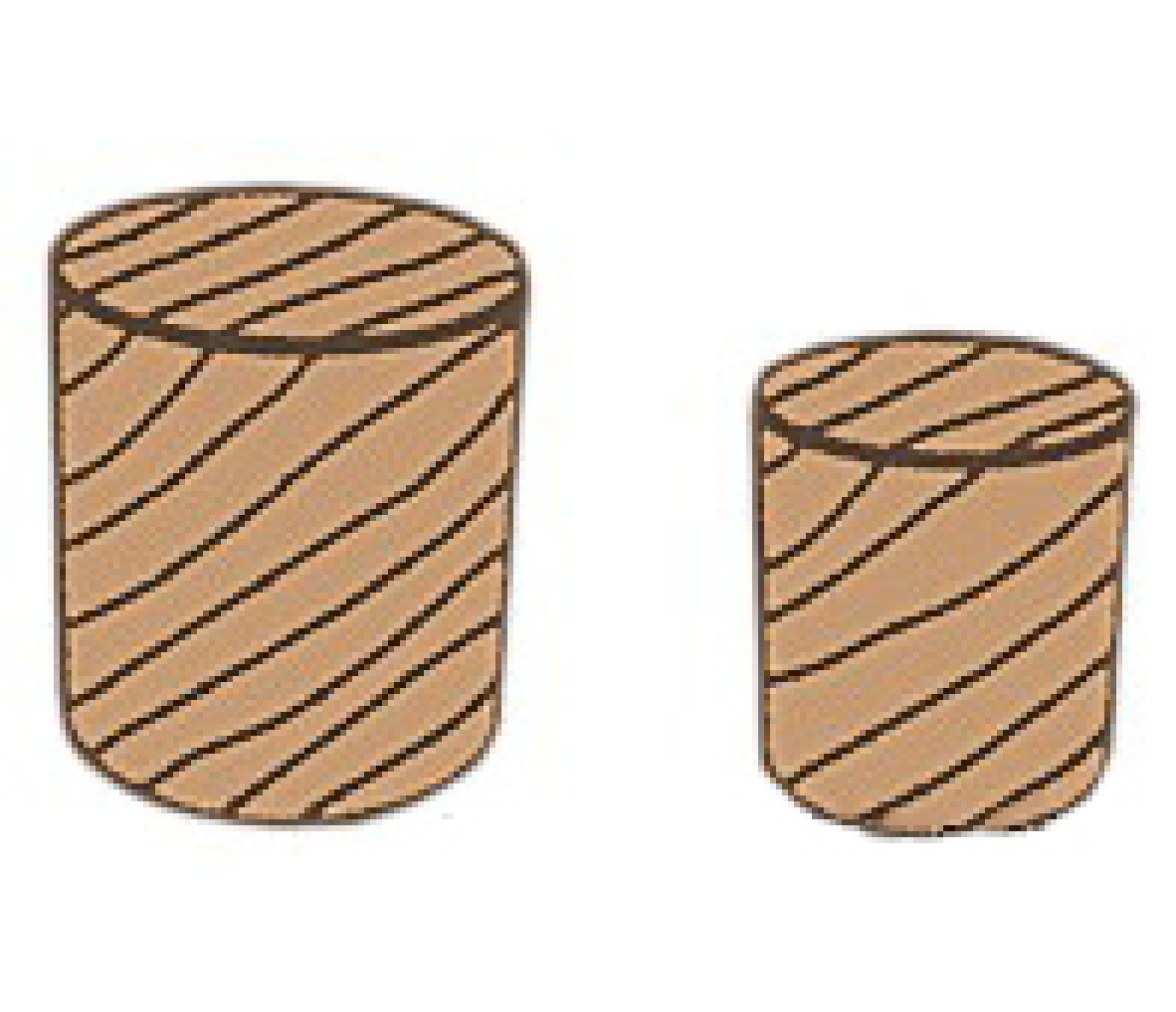 Tapones de Teca 50 unidades en 6-8-10 mm