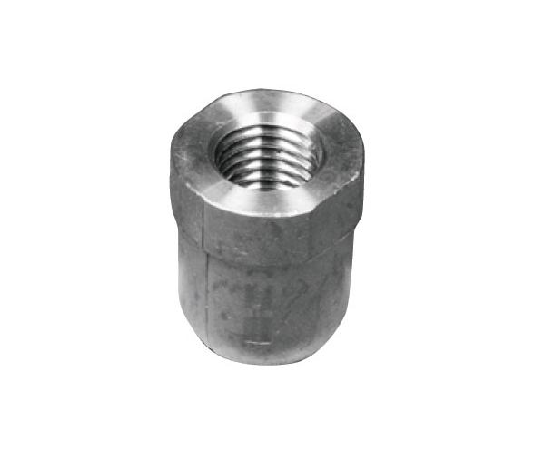 Tecnoseal Anodo Renault para Eje 22-25