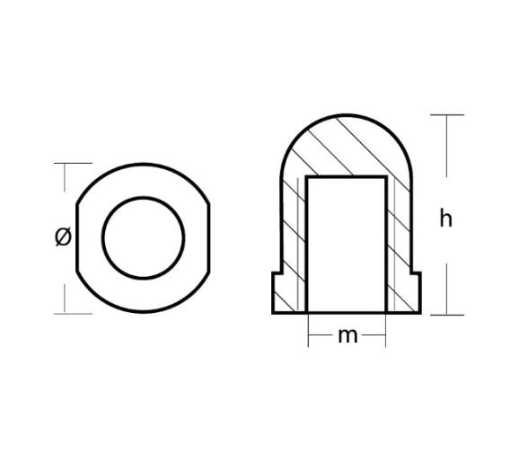 Tecnoseal Anodo Renault para Eje 22-25