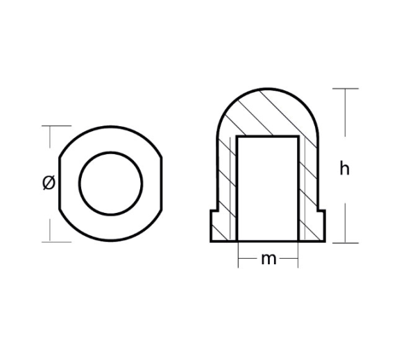 Tecnoseal Anodo Renault para Eje 22-25