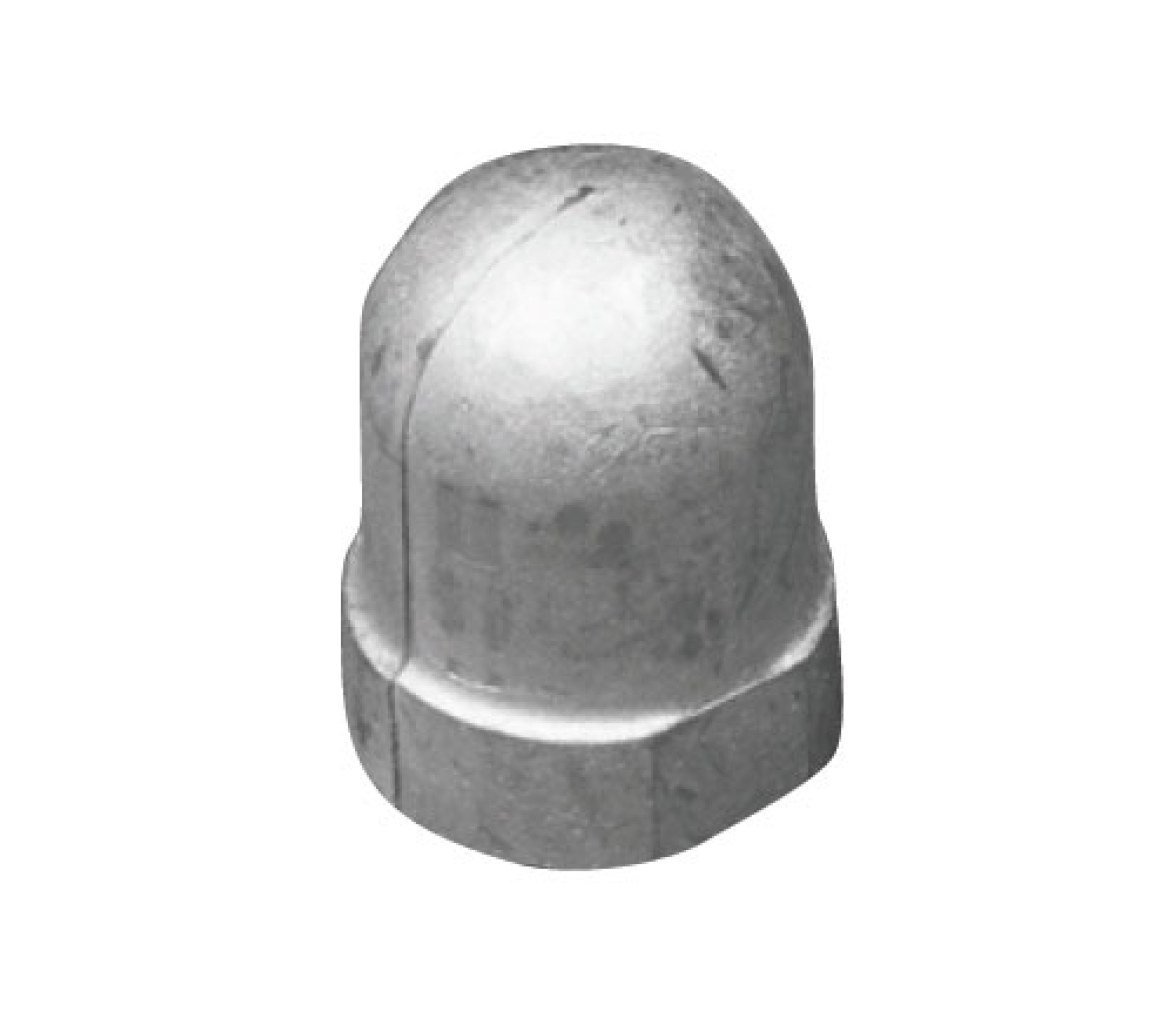 Tecnoseal Anodo Renault para Eje 22-25