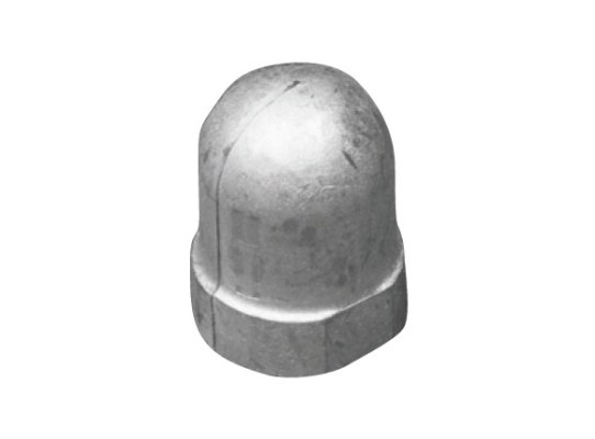 Tecnoseal Anodo Renault para Eje 22-25