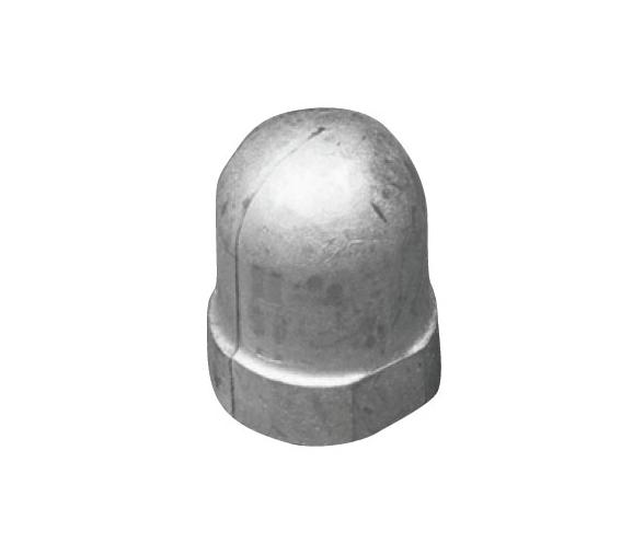 Tecnoseal Anodo Renault para Eje 22-25