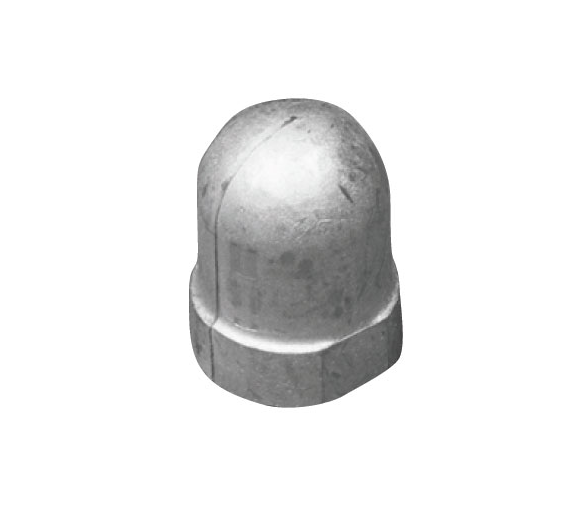 Tecnoseal Anodo Renault para Eje 22-25