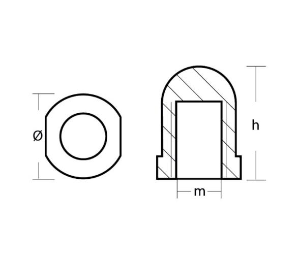 Tecnoseal Anodo Renault para Eje 28-34
