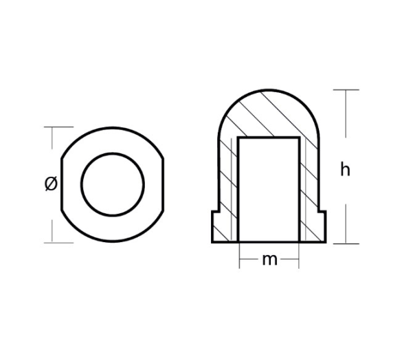 Tecnoseal Anodo Renault para Eje 28-34