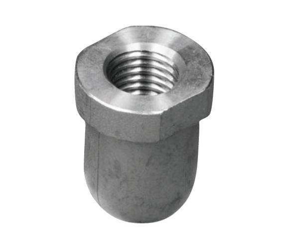 Tecnoseal Anodo Renault para Eje 28-34