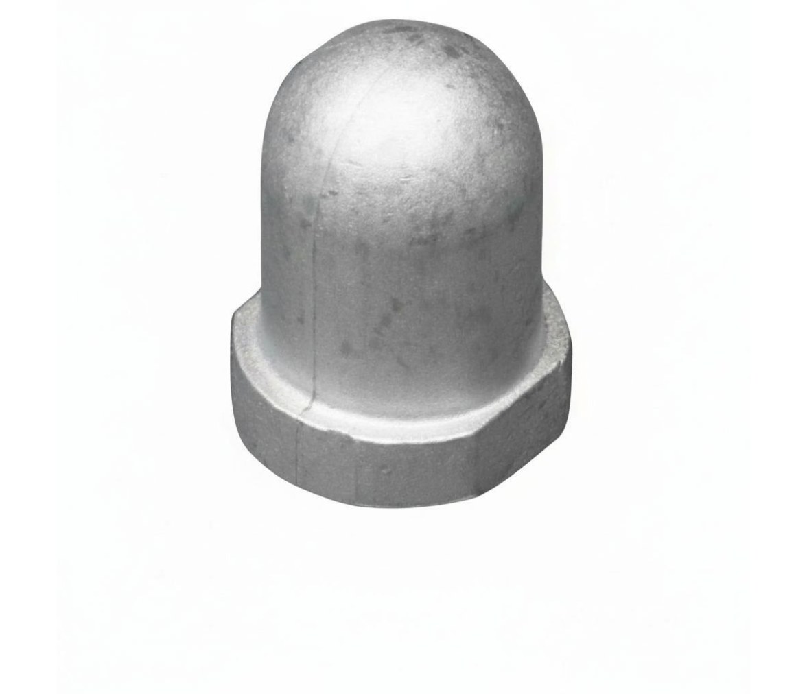 Tecnoseal Anodo Renault para Eje 28-34