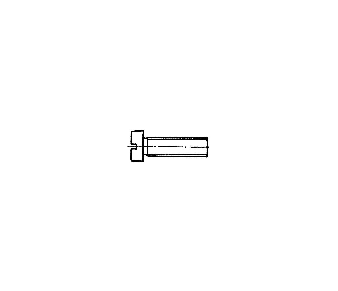 Tornillo Cabeza Cilindrica AISI 316 DIN 84 Blister