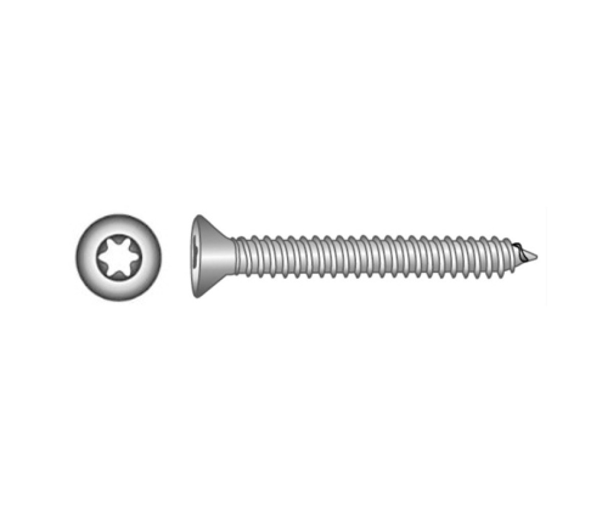 Blister Tornillo ISO 14586