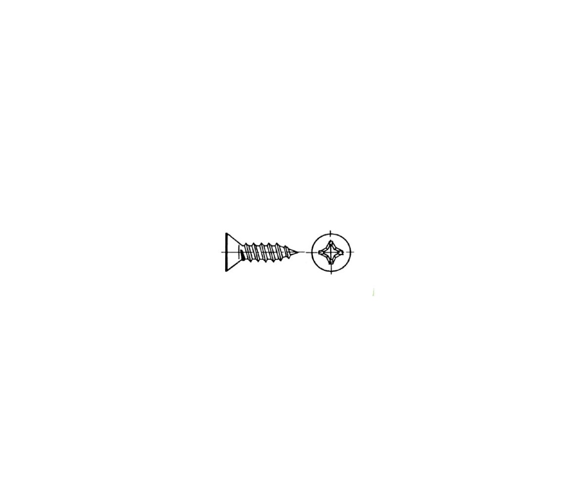 AISI 316 DIN 7982 Blister Slotted Head-Self Screw
