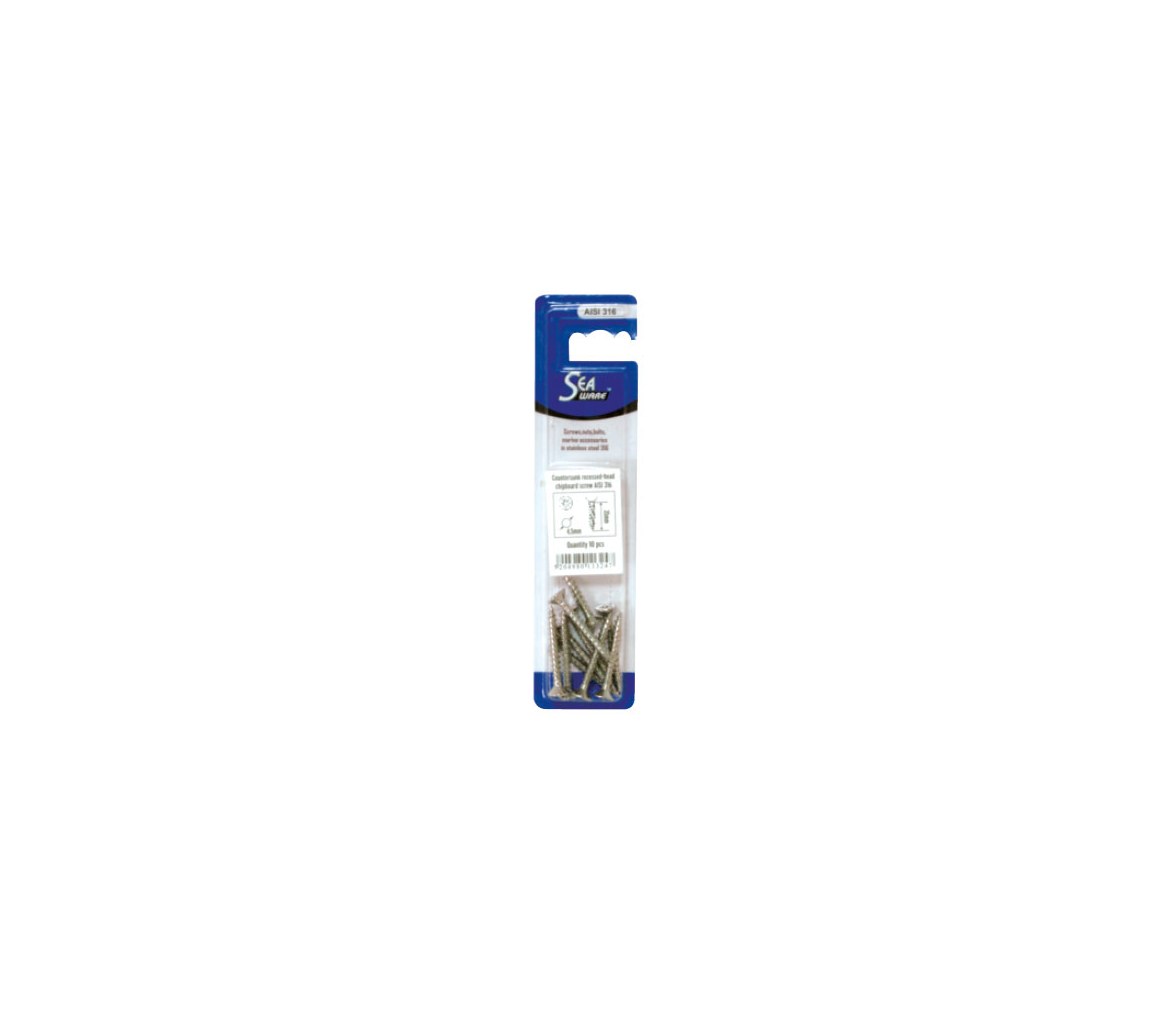AISI 316 DIN 7982 Blister Slotted Head-Self Screw