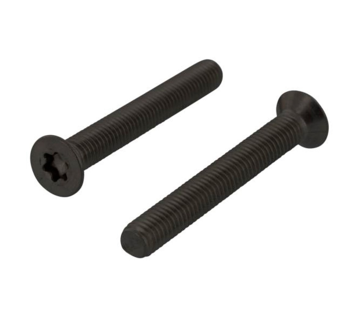 Tornillo Negro Torx con Cabeza Avellanada ISO 14581