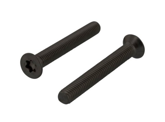 Torx Black Countersunk Head Screw ISO 14581