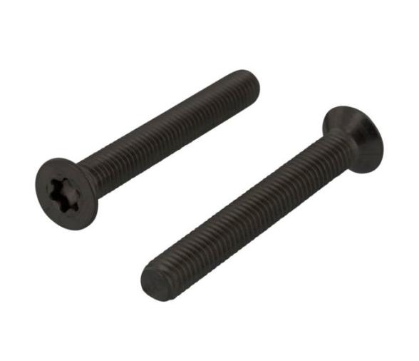 Tornillo Negro Torx con Cabeza Avellanada ISO 14581