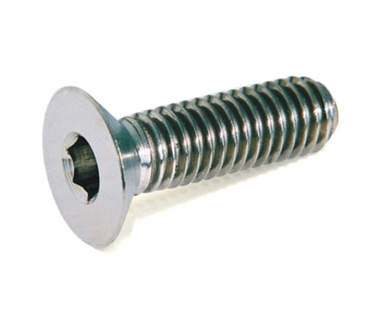 Tornillo Allen  AISI 316 DIN 7991
