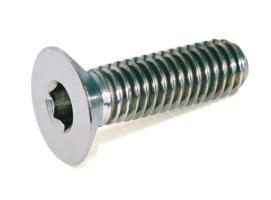 Tornillo Allen  AISI 316 DIN 7991