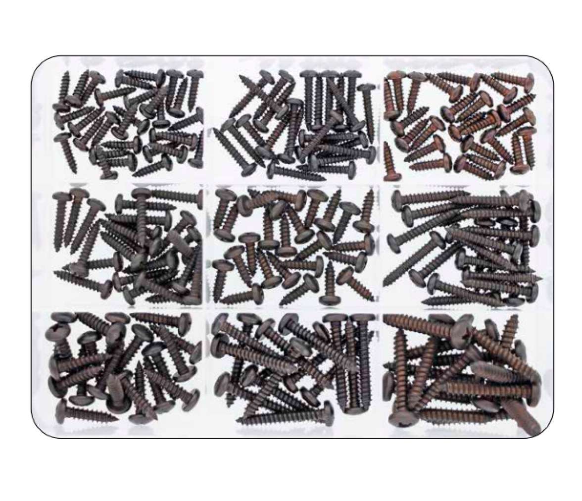 Kit Tornillos Negros Philips con Cabeza Redonda DIN 7981 200 piezas