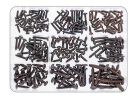 Marinetech Kit Tornillos Negros Philips con Cabeza Redonda DIN 7981 200 piezas