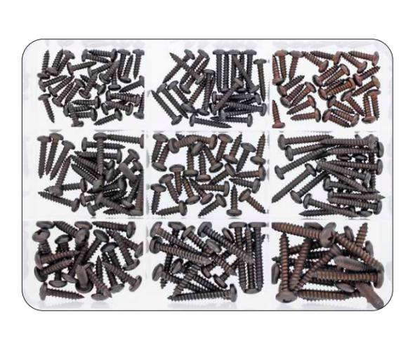 Marinetech Kit Tornillos Negros Philips con Cabeza Redonda DIN 7981 200 piezas