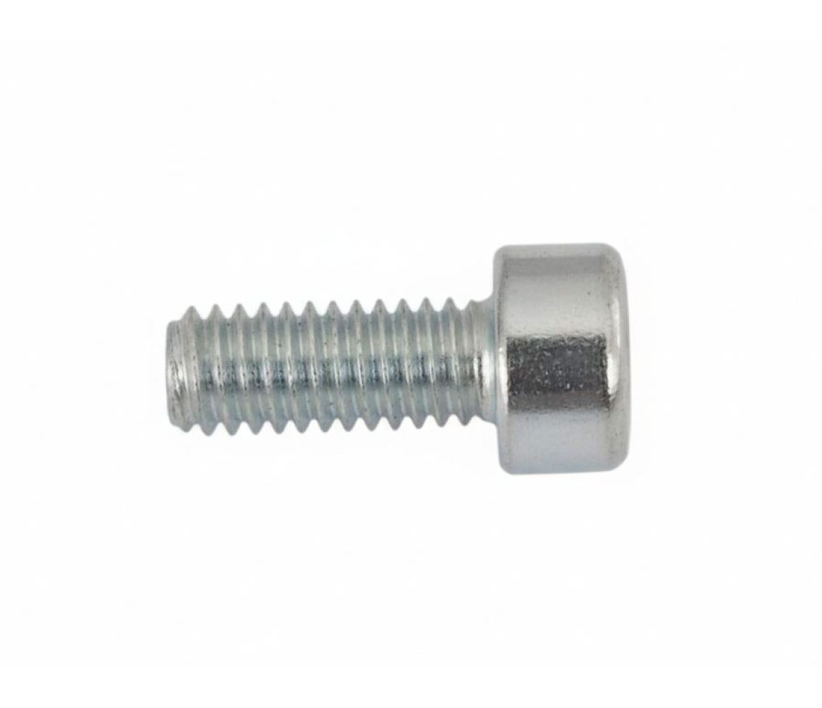 Torqeedo Tornillo ISO4762 M4x10