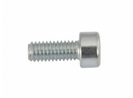 Torqeedo Tornillo ISO4762 M4x10