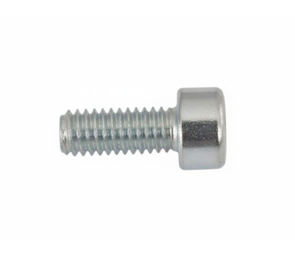 Torqeedo Tornillo ISO4762 M4x10