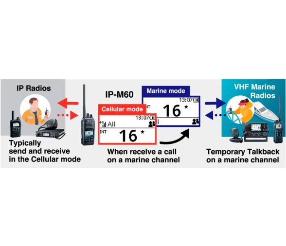Icom Transceptor IP híbrido IP-M60