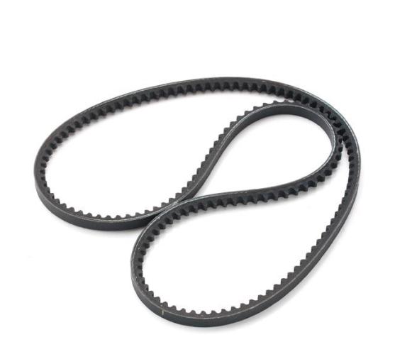 Vetus Correa Alternador M4